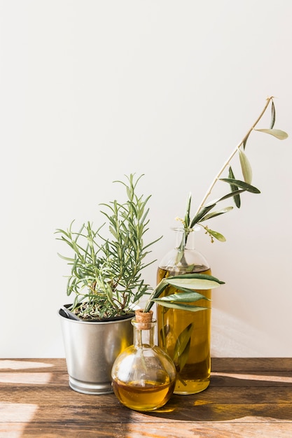 Stainless steel rosemary pot with bottles of oil on the wooden table