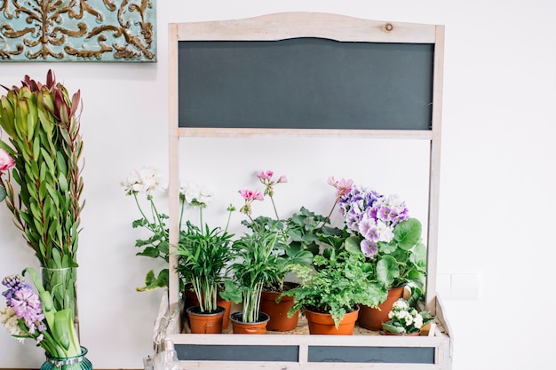 Free photo stall with potted flowers