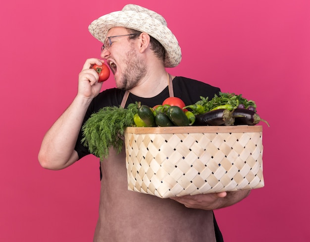 Бесплатное фото Стоя в профиль, молодой мужчина-садовник в садовой шляпе держит корзину с овощами, пробуя помидор, изолированный на розовой стене