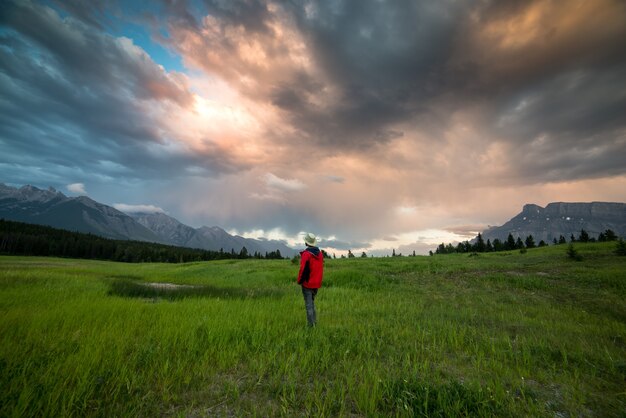 Standing among the Mountains