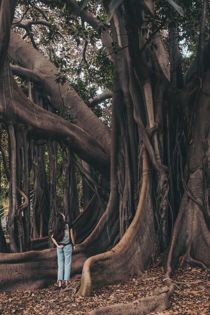 낮 동안 나무를보고 서있는 여자