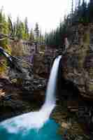 Foto gratuita stanley falls