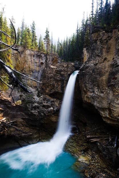 Stanley Falls