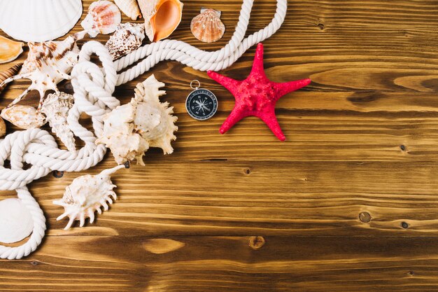 Starfish and compass lying near seashells and rope