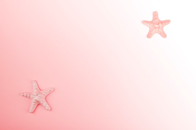 Starfish on the corner of the pink gradient background