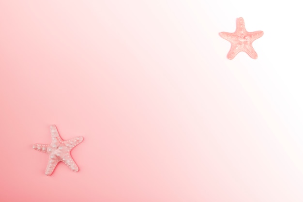 Starfish on the corner of the pink gradient background