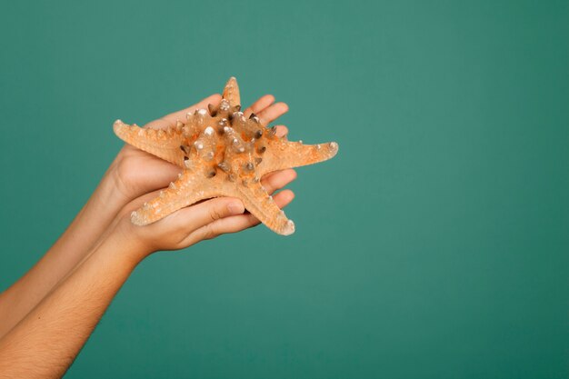 Starfish in hands