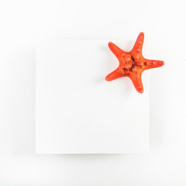 Starfish on paper sheet