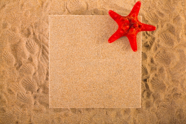 Starfish and pin board on sand