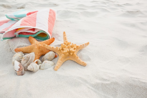 Starfish, sea shells and beach blanket on sand