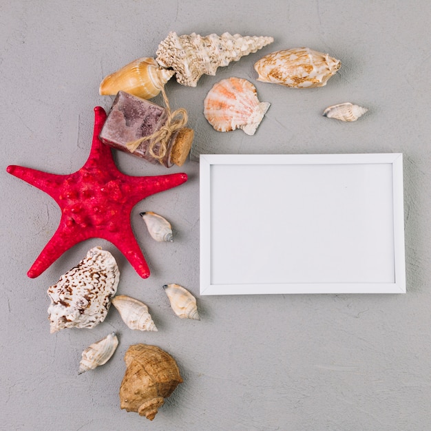 Free photo starfish and seashells near frame