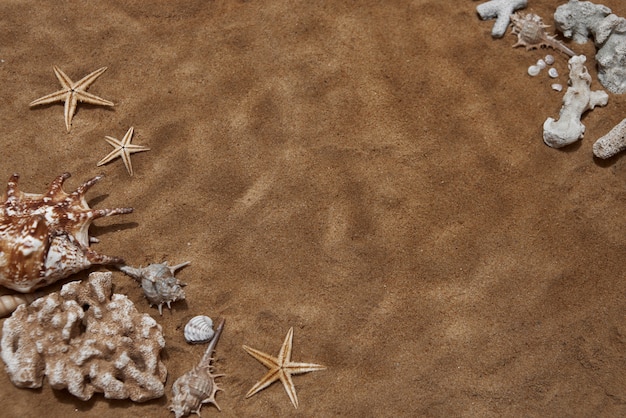 Free photo starfish underwater still life