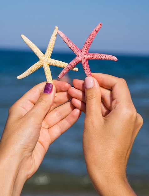 Free photo starfishes being held next to the sea