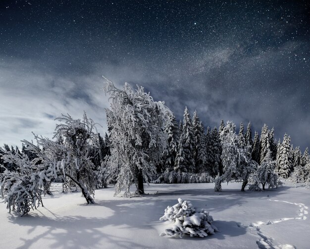 눈 덮인 겨울 밤에 별이 빛나는 하늘. Year 달 그 fantastic에 환상적인 은하수. 별이 빛나는 하늘 눈 덮인 겨울 밤. 은하수는 환상적인 새해 전야입니다