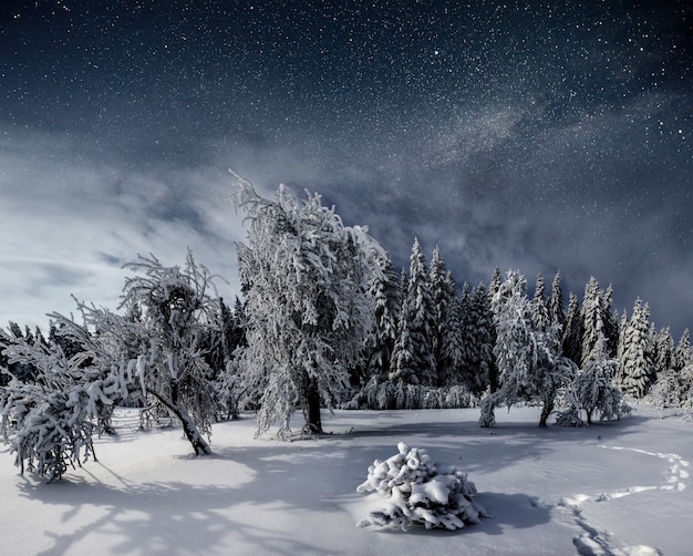 雪に覆われた冬の夜の星空。大晦日の幻想的な天の川。星空雪に覆われた冬の夜。天の川は素晴らしい大晦日です