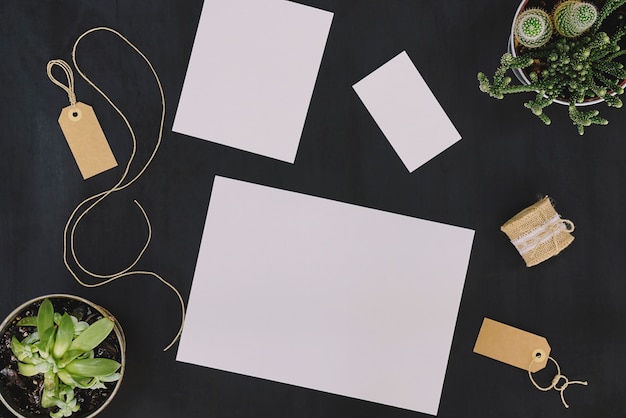 Stationery set and plants