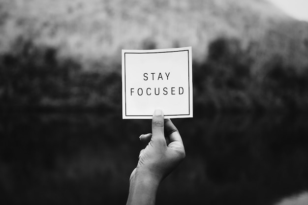 Free photo stay focused text in nature inspirational motivation and advice