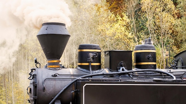 Steam train Mocanita at a railway station, Romania