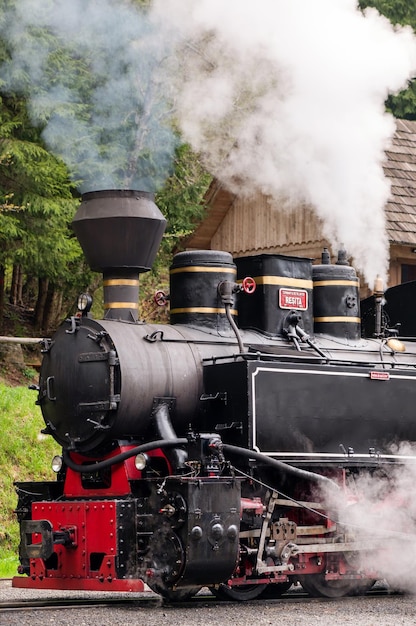 Free photo steam train mocanita on a railway station romania