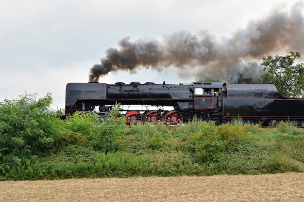 "Steam train on nature"