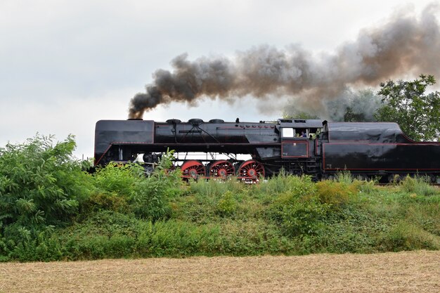 「自然界の蒸気機関車」