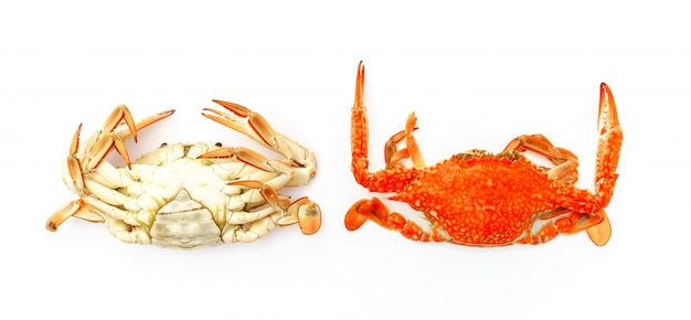 Steamed crabs on white background .