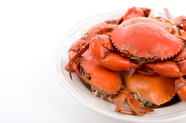 Steamed crabs on white plate