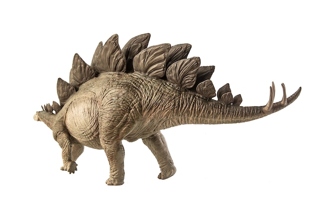 Динозавр стегозавр на белом фоне. 