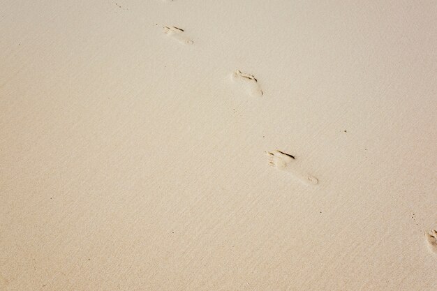 step footprint on sand