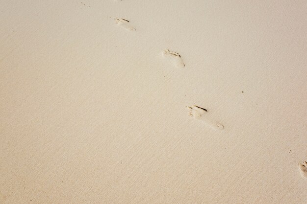 шаг след на песке