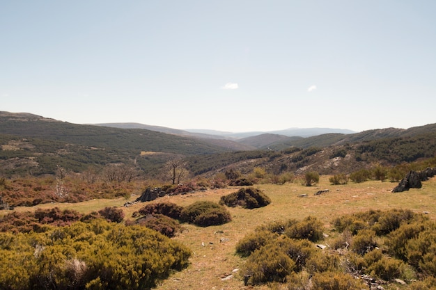 Free photo steppe countryside