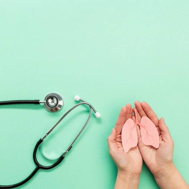 Free photo stethoscope and hands with miniature lungs