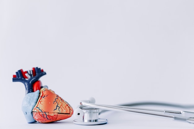 Free photo stethoscope and realistic heart