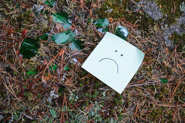 Наклейка с грустной улыбкой на камне, заросшем мхом и усыпанном осколками стекла, концепция загрязнения природы, сбор мусора во время отдыха в лесу