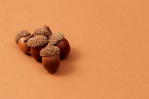 Free photo still life of acorns