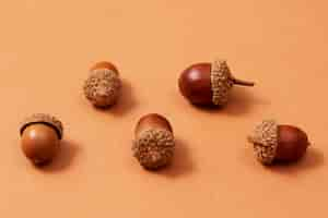 Free photo still life of acorns