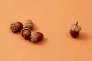 Free photo still life of acorns