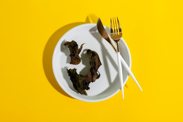 Still life of algae and moss on plate