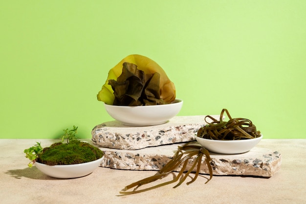 Free photo still life of algae and moss on plate