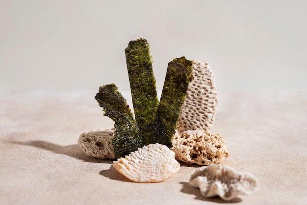 Free photo still life of algae and moss on podium