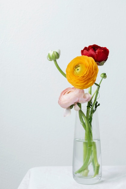 Still life arrangement of green plant