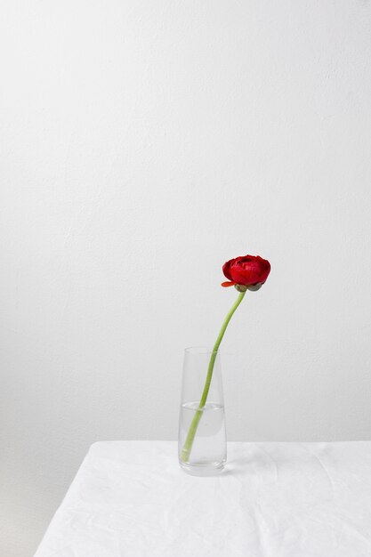 Still life arrangement of interior flower in vase