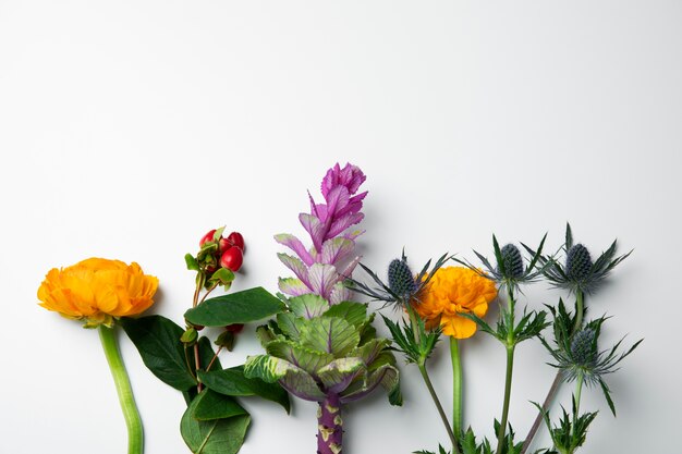 Still life of beautiful flowers