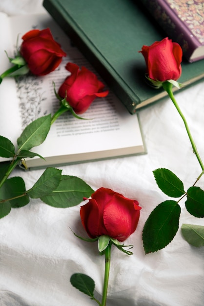 Горностай в красной книге