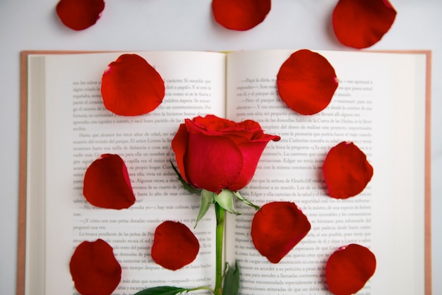 Still life of beautiful red roses for sant jordi celebration