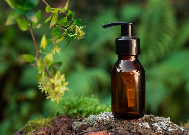 still life of beauty products based on regenerative agriculture