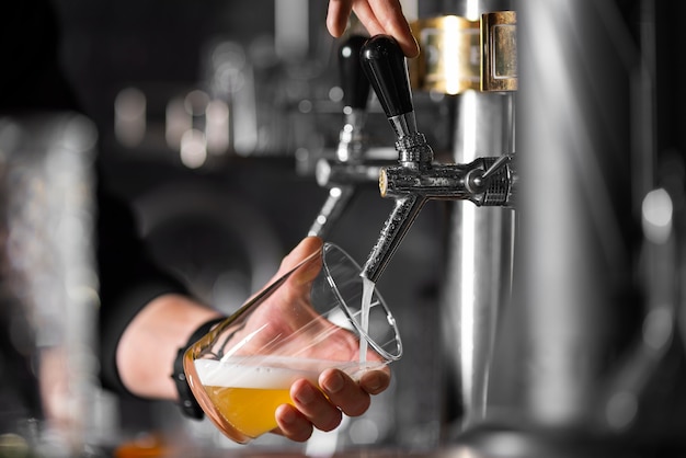 Still life of beer brewing elements