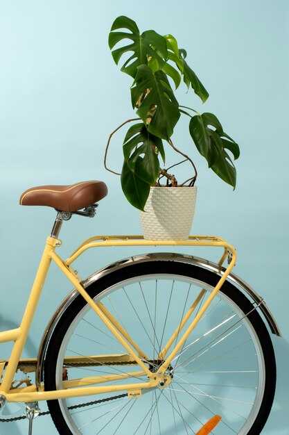 Still life of bicycle basket