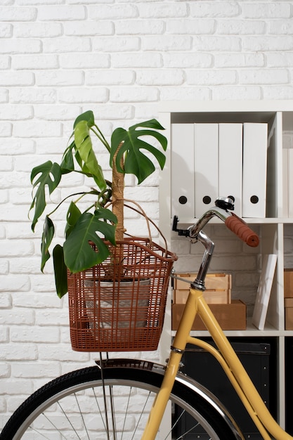 Free photo still life of bicycle basket