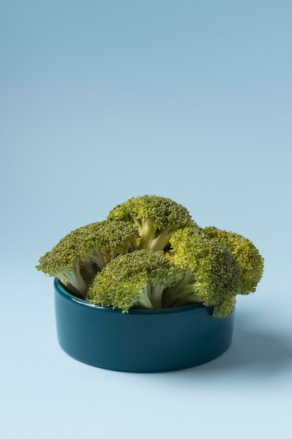 Free photo still life broccoli for animals in a bowl